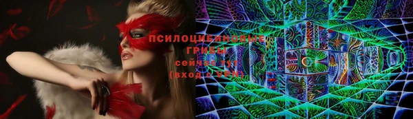 2c-b Богданович