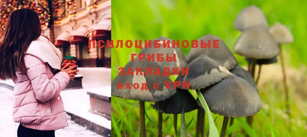 первитин Богородск