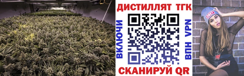 цена наркотик  Мураши  ТГК концентрат 